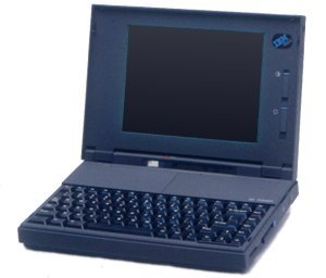 ThinkPad 300C